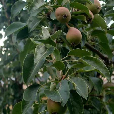 Vista Apartament Vaasa