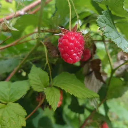 Apartment Vista Vaasa