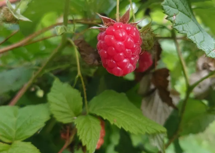 Apartament Vista Vaasa